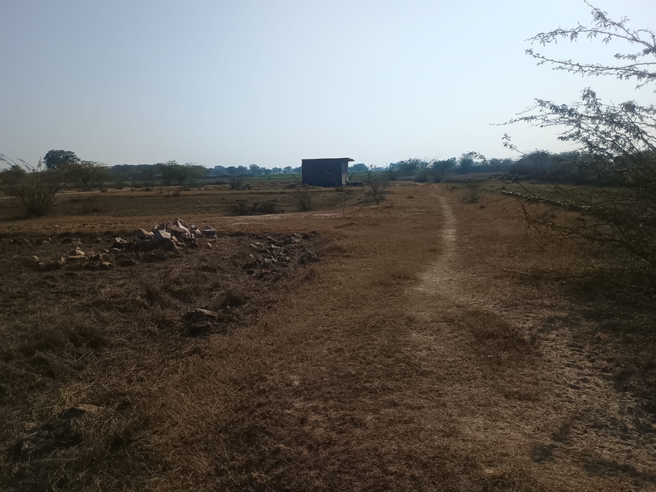 130Sq.Yard Teh. Phagi, Dist. Jaipur, Rajasthan