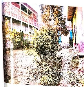 Plot for Sale in Sasaram