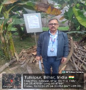 Plot for Sale in Independent Plot, Tulsi Pur, Phulwaria, Barauni, Barauni