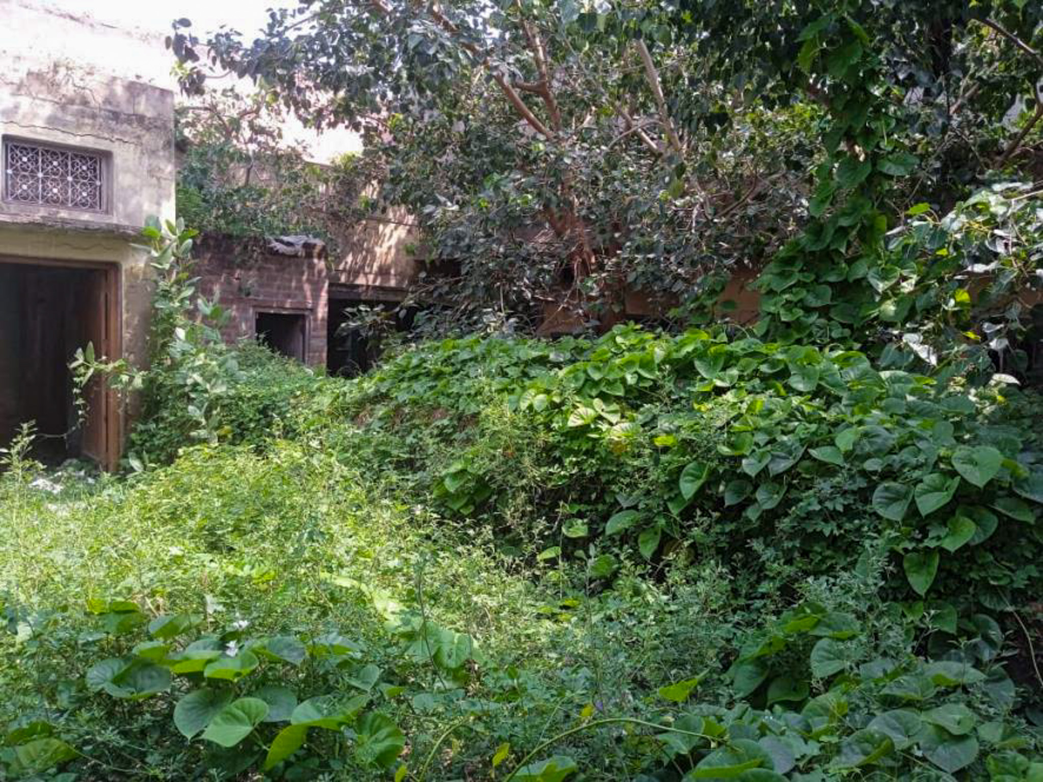 Individual House for Sale in Barhi Industrial Area