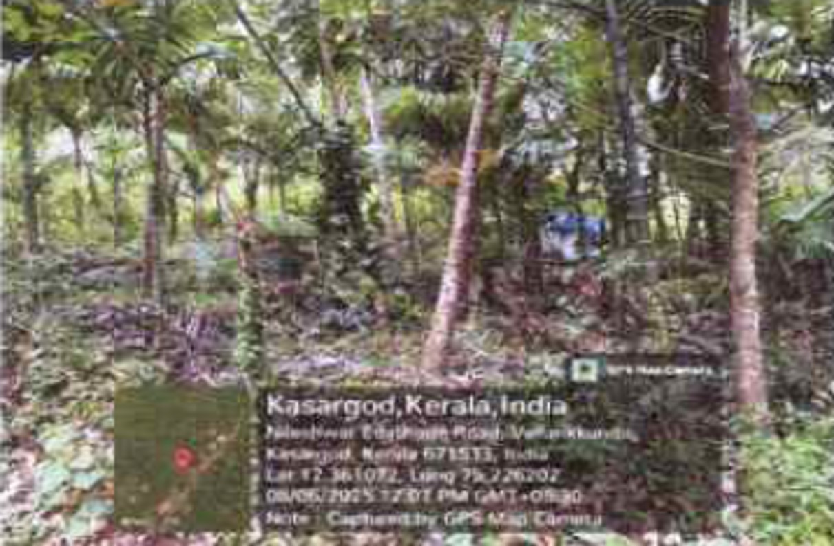Plot for Sale in Koipady