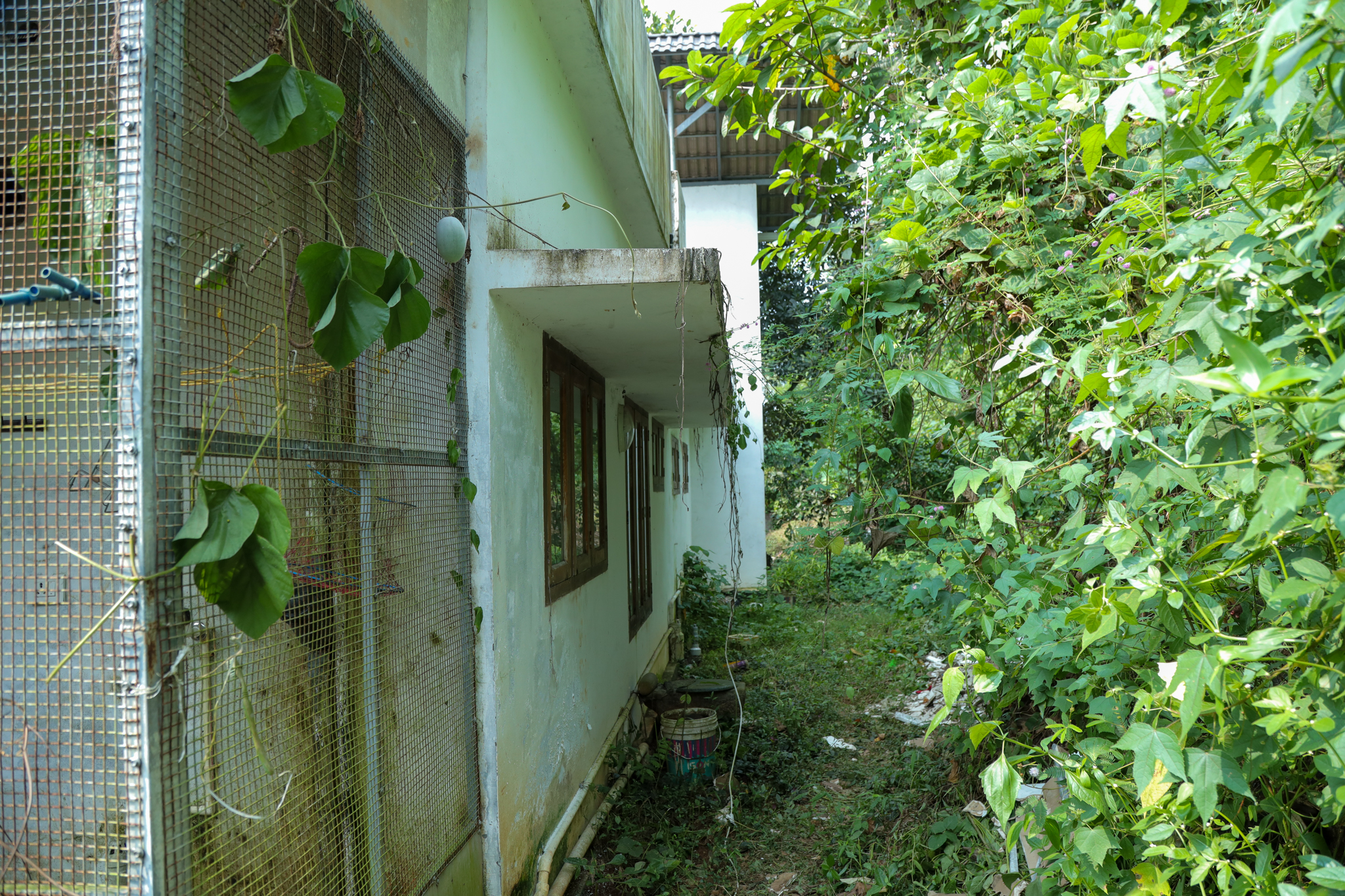 7 BHK Individual House for Sale in NA, Kanjirappally, Changanacherry