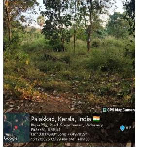 VACANT LAND for Sale in Palakkad