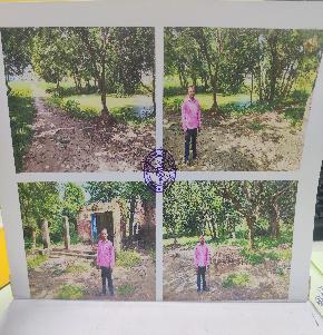 Plot for Sale in bairganiya, Sitamarhi