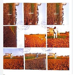 Plot for Sale in Patna