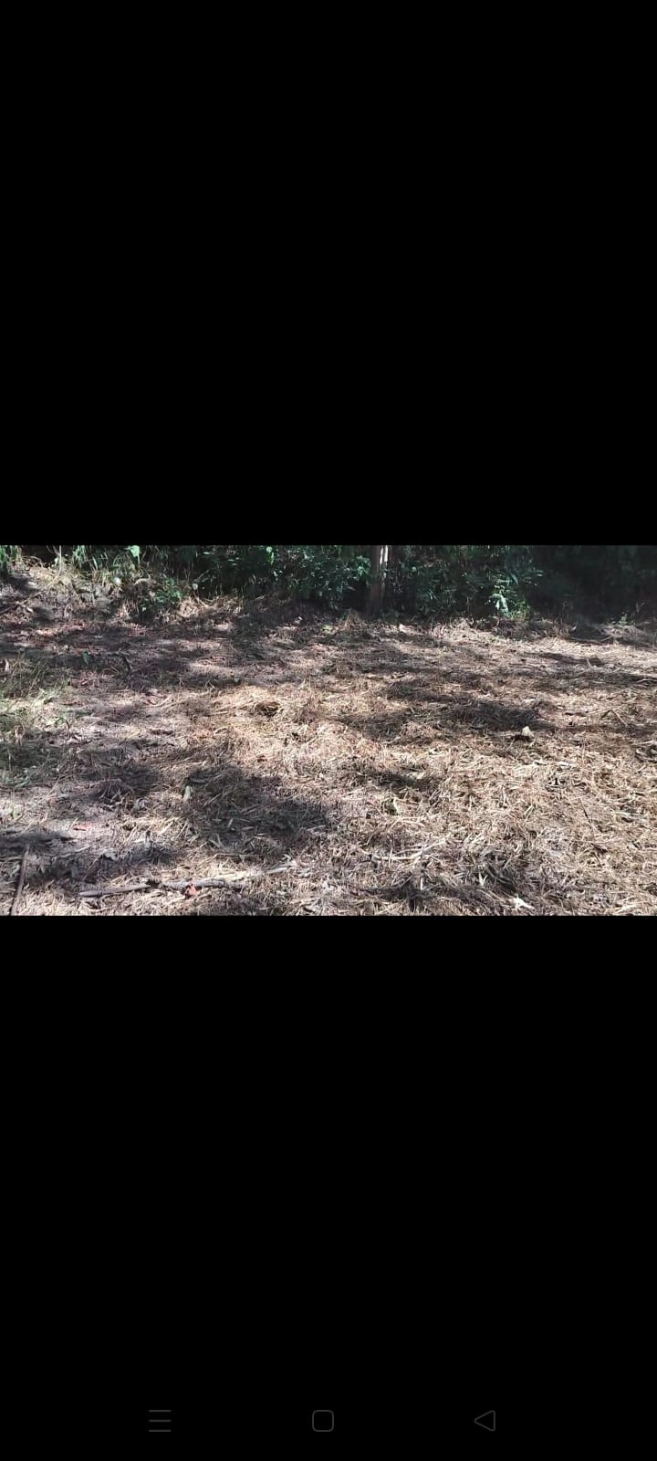 Plot for Sale in HAMIRPUR, Hamirpur