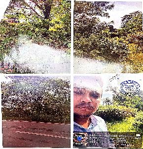 Plot for Sale in Karimganj