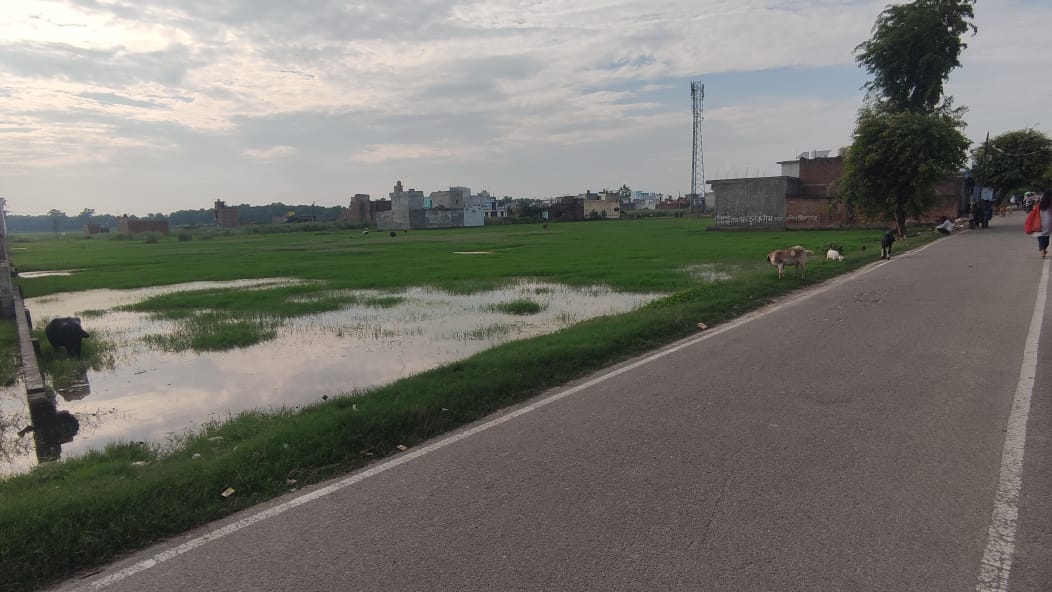 Plot for Sale in ESIPL Sitarganj