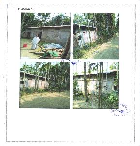 Individual House for Sale in HATILARUA PATHAR, TENGAGURI, BHURAGAON, MORIGAON, ASSAM, Bhuragaon