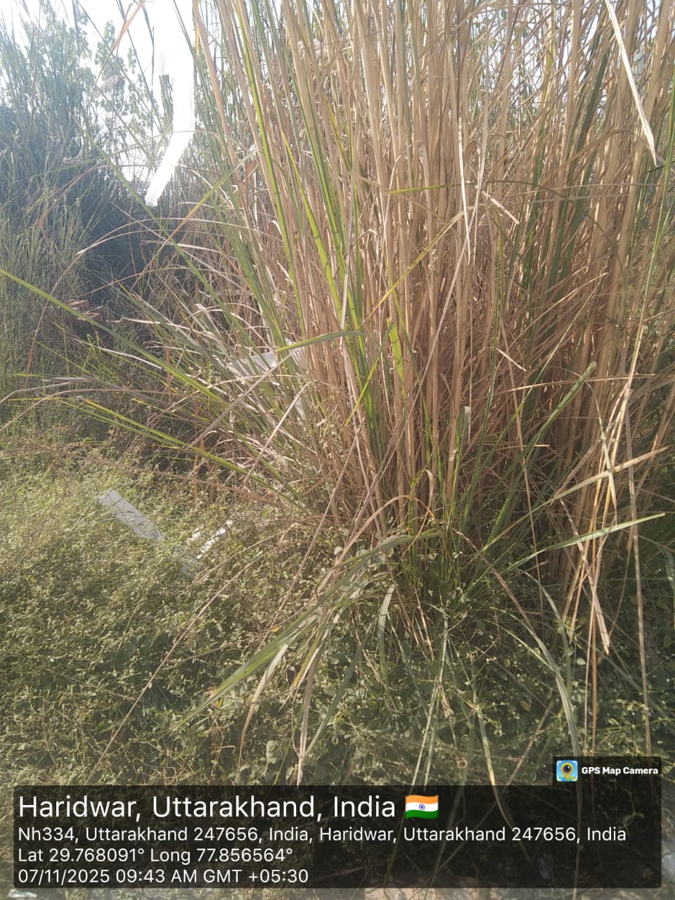 Plot for Sale in Manglaur