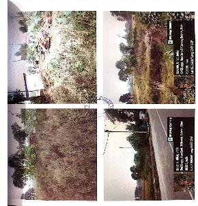 Plot for Sale in Harnaut