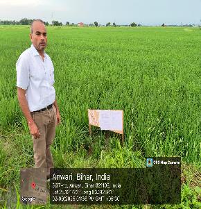 Plot for Sale in Mohania, Mohania