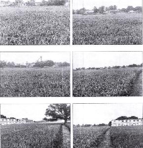 VACANT LAND for Sale in Peddapuram