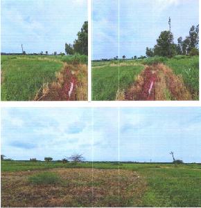 Vacant Plot for Sale in Eluru, Eluru