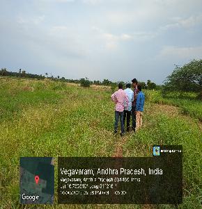 Vacant Plot for Sale in Eluru, Eluru