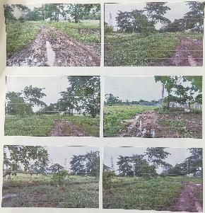 VACANT LAND for Sale in Tanuku