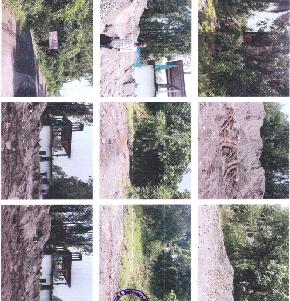 Plot for Sale in Tuni