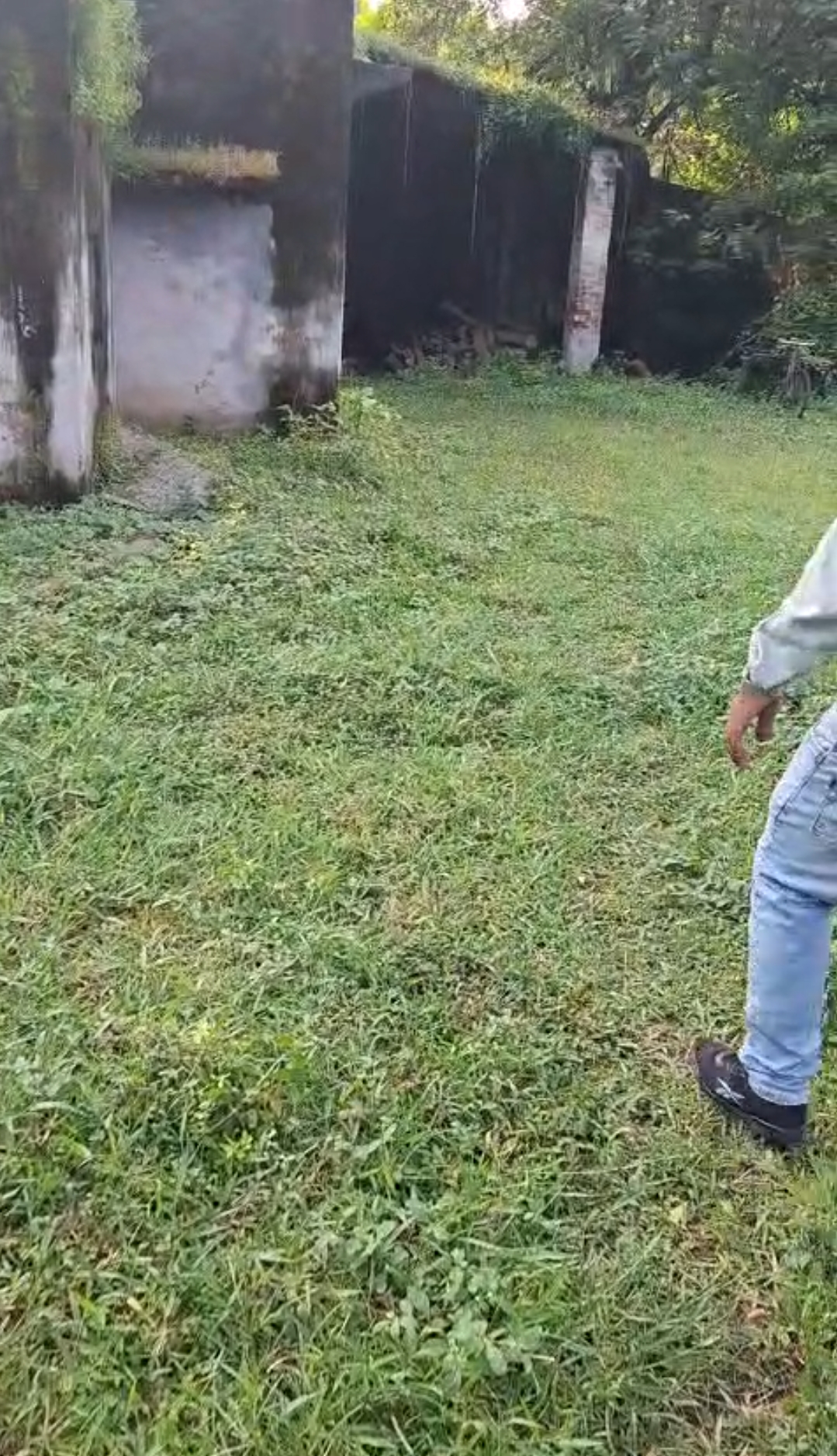 Plot for Sale in Gumia