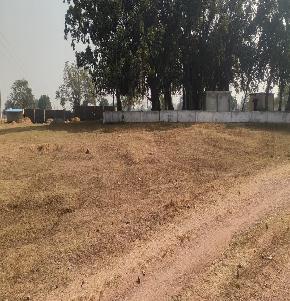 OTHERS for Sale in KUDRI, Gaurella