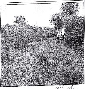 Plot for Sale in Bhanvad Devbhumi Dwarka, Bhanvad