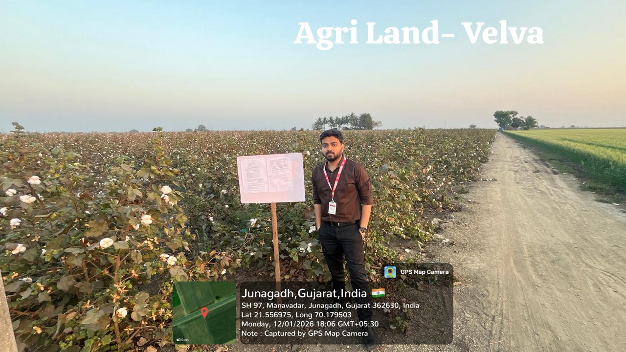 Agriculture Land for Sale in Velva, Ta. Manavadar, Kodinar