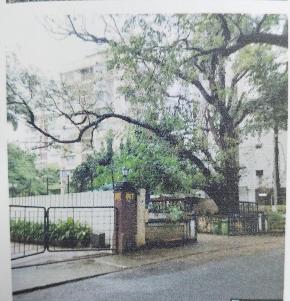 Flat for Sale in Khar west, Mumbai