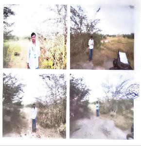 Plot for Sale in Kodad