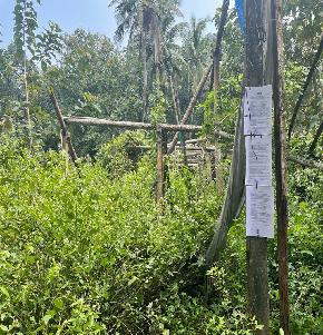 Plot for Sale in Kottayam