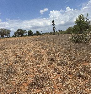 Plot for Sale in Thoothukudi