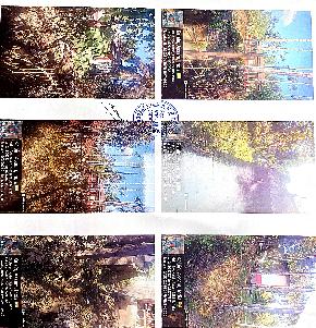 Plot for Sale in Silchar