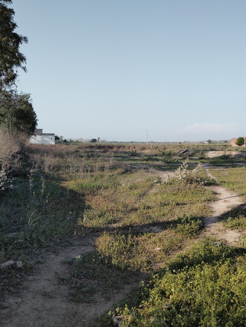 Industrial Plot for Sale in Ludhiana