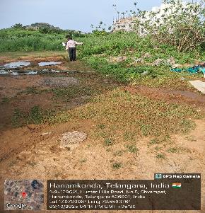 Plot for Sale in Hanumakonda