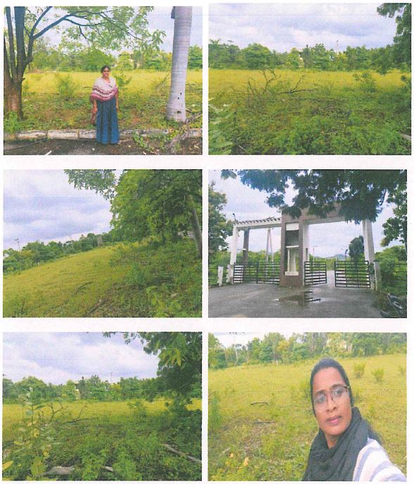 Plot for Sale in PANAGAL, Nalgonda