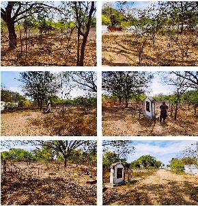 Plot for Sale in PANAGAL, Nalgonda