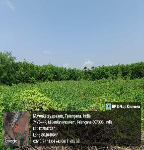 Industrial Plot for Sale in Khammam