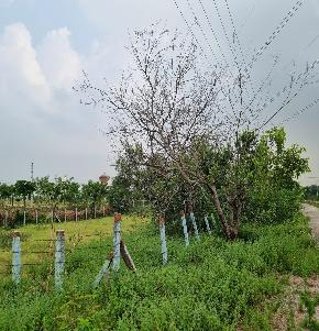 Plot for Sale in Bibinagar
