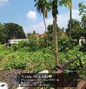 Plot for Sale in N K Palayam,chokkanathapuram naduvakattupalayam, Palakkad