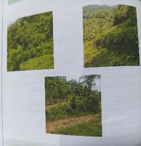 VACANT LAND for Sale in Koottilangadi
