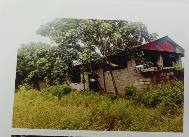 Industrial Plot with Factory Building for Sale in Adinad