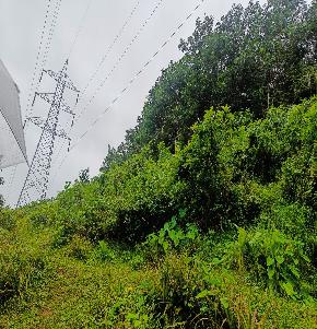 Plot for Sale in Muvattupuzha