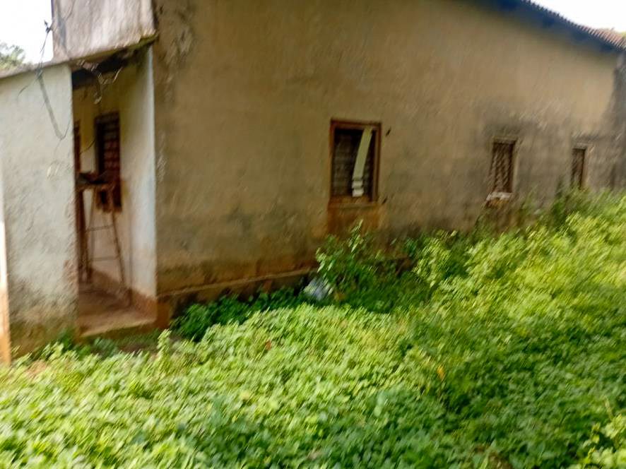Individual House for Sale in BANIPADA, Cuttack
