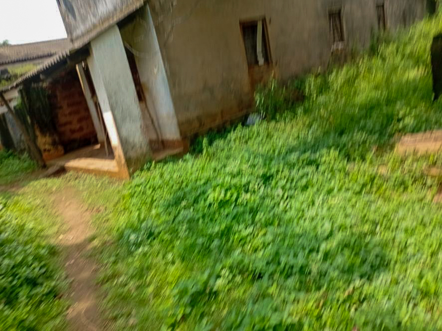 Individual House for Sale in BANIPADA, Cuttack