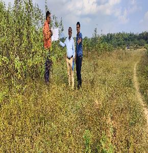 Plot for Sale in Rayagada, Tikarpada