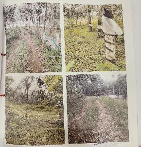 LAND for Sale in Pathanamthitta