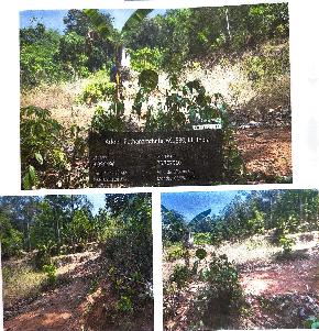 LAND ONLY for Sale in Pathanamthitta