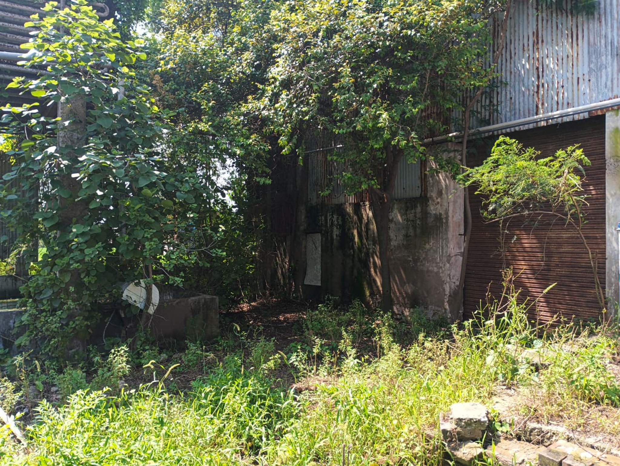 Industrial Shed for Sale in Mubarikpur, Dera Bassi