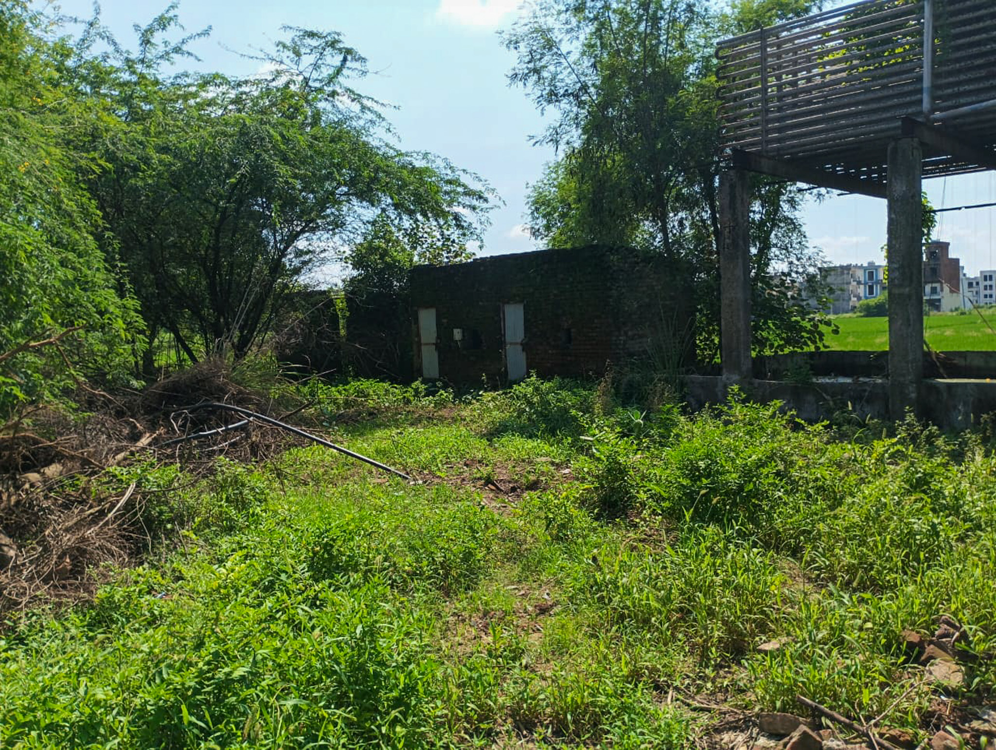 Industrial Shed for Sale in Mubarikpur, Dera Bassi