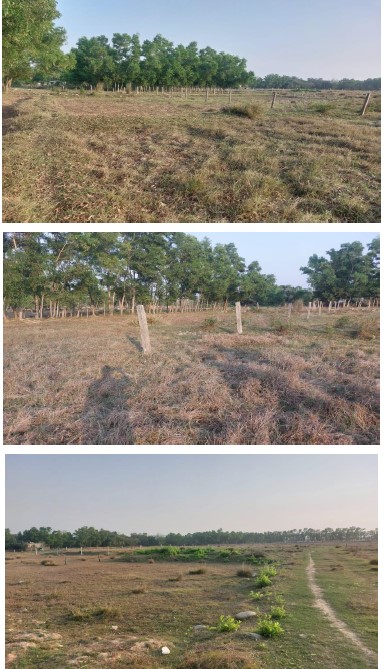Plot for Sale in SORO BALASORE, Soro