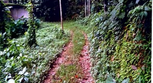 Plot for Sale in Mannarkad
