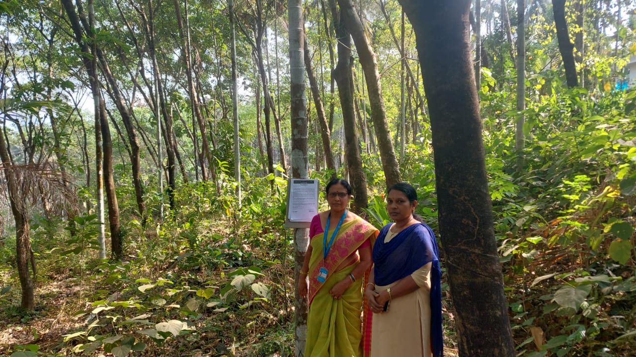 Plot for Sale in Pariyaram